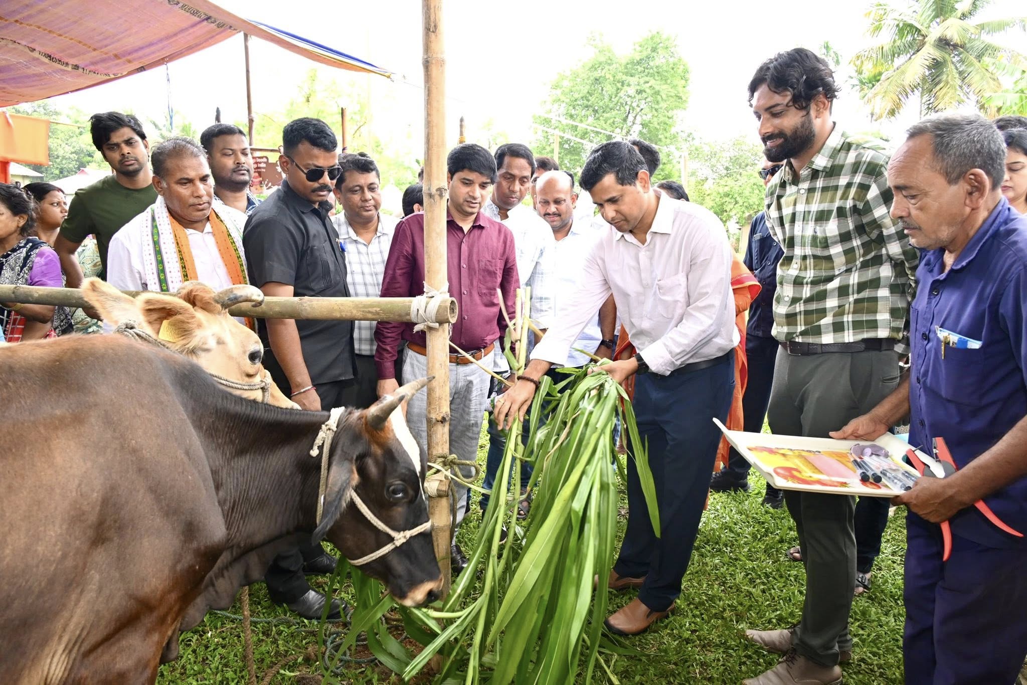 খুরা রোগ প্রতিরোধে অষ্টম পর্যায়ের টিকাকরণ কর্মসূচি শুরু প্রাণীপালকদের আর্থসামাজিক অবস্থার উন্নতিতে রাজ্য সরকার বিভিন্ন পরিকল্পনা রূপায়ণ করছে: প্রাণীসম্পদ বিকাশ মন্ত্রী