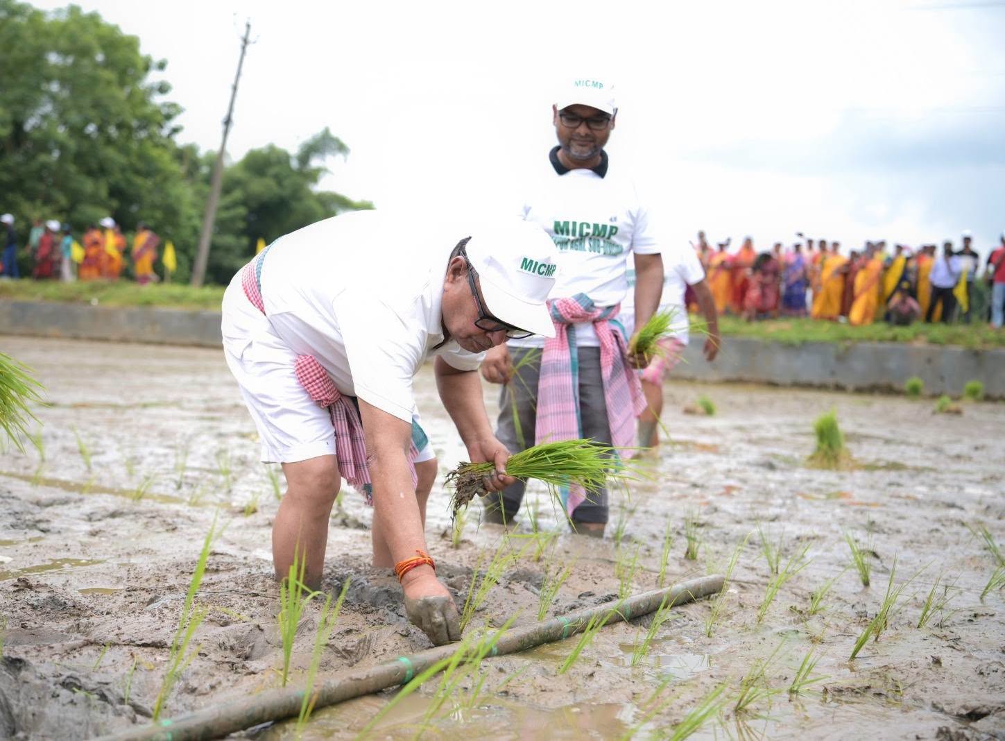 কৃষকরাই আমাদের খাদ্য নিরাপত্তার মূল ভিত্তি: কৃষিমন্ত্রী